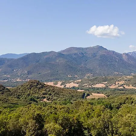 Villa Au Coeur De L'arriere Pays Domaine A Presa Avec Piscine Privee & Chauffee Matra (Corse-du-Sud)