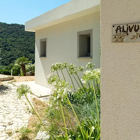 Au Coeur De L'arriere Pays Domaine A Presa Avec Piscine Privee & Chauffee * Matra (Corse-du-Sud)