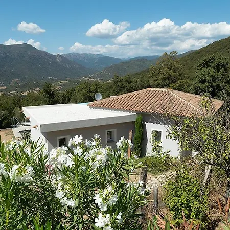 Au Coeur De L'arriere Pays Domaine A Presa Avec Piscine Privee & Chauffee * Matra (Corse-du-Sud)