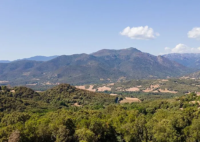 Villa Au Coeur De L'arriere Pays Domaine A Presa Avec Piscine Privee & Chauffee Matra (Corse-du-Sud)
