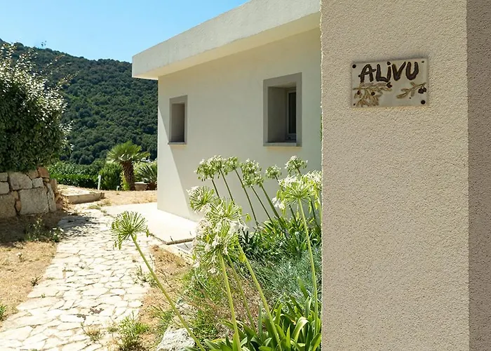 Au Coeur De L'arriere Pays Domaine A Presa Avec Piscine Privee & Chauffee * Matra (Corse-du-Sud)