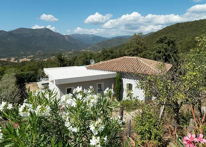 Au Coeur De L'arriere Pays Domaine A Presa Avec Piscine Privee & Chauffee * Matra (Corse-du-Sud)