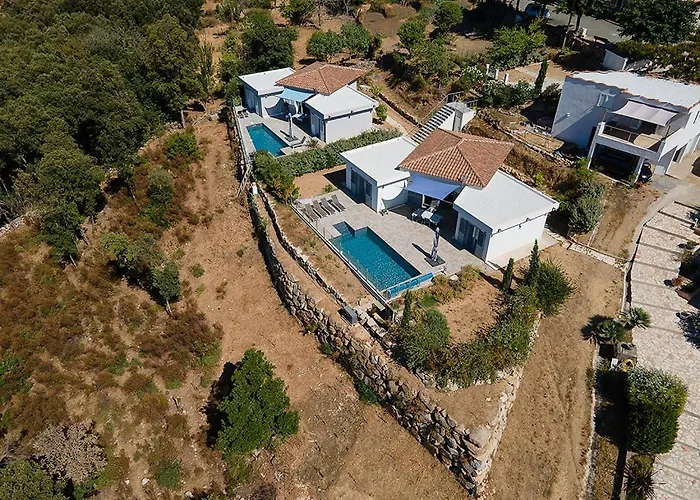 A Presa Avec Option Véhicule *